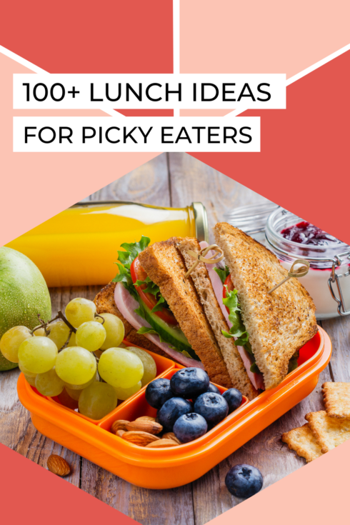 100+ Lunch Ideas for Picky Eaters